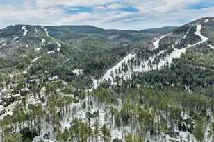 31 Crawford Hills Rd, Bartlett, NH 03812 - Photo 50