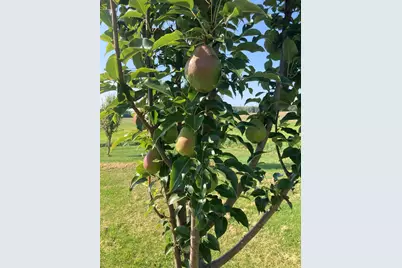 247 US Route 2, Grand Isle, VT 05458 - Photo 40