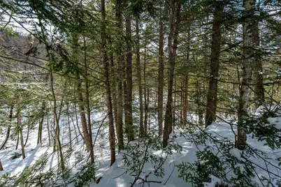 4 St Martins Drive #Map R12/Parcel 133 &amp; Map V01/Parcel 21, Jackson, NH 03846 - Photo 42