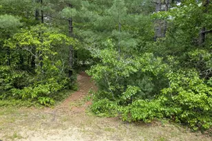 31 McGrew Dr, Tamworth, NH 03886 - Photo 36