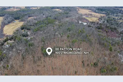 00 Patton Road, Westmoreland, NH 03467 - Photo 4