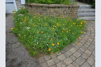 27 Red Squirrel Lane, Chester, NH 03036 - Photo 4