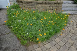 27 Red Squirrel Ln, Chester, NH 03036 - Photo 4