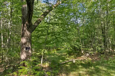 Chamberlain Road #11, Alton, NH 03809 - Photo 8