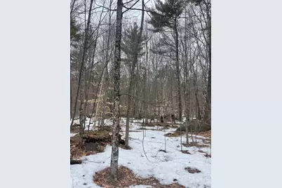 Lot 13-9 E Washington Road, Washington, NH 03280 - Photo 1