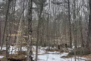 Lot 13-9 E Washington Rd, Washington, NH 03280 - Photo 1