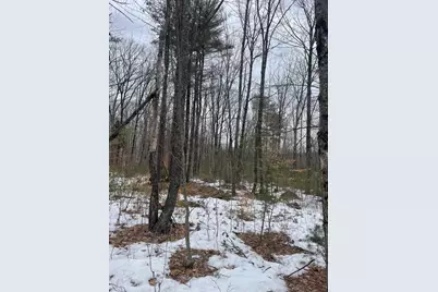 Lot 13-9 E Washington Road, Washington, NH 03280 - Photo 2