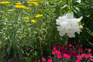 29 Grant St, Keene, NH 03431 - Photo 54