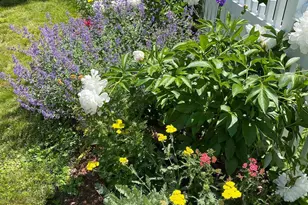 29 Grant St, Keene, NH 03431 - Photo 58