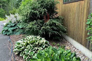 4 Wild Turkey Rd, Deerfield, NH 03037 - Photo 56