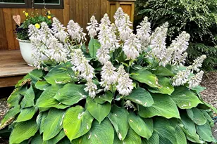 4 Wild Turkey Rd, Deerfield, NH 03037 - Photo 60