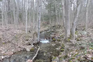 445 Whittier Hwy, Sandwich, NH 03227 - Photo 30