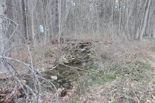 445 Whittier Hwy, Sandwich, NH 03227 - Photo 28