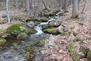 445 Whittier Hwy, Sandwich, NH 03227 - Photo 8