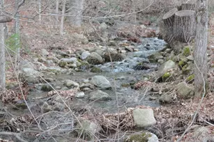 445 Whittier Hwy, Sandwich, NH 03227 - Photo 6