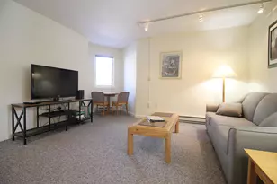 9 Mountain Sun Way, Waterville Valley, NH 03215 - Photo 10