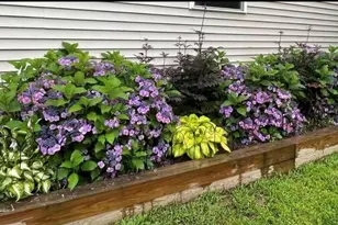 7 Cinnamon Ridge Rd, Somersworth, NH 03878 - Photo 36