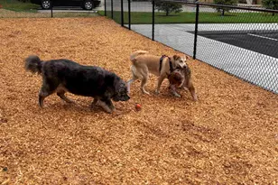 80 Constitution Ave, Portsmouth, NH 03801 - Photo 30