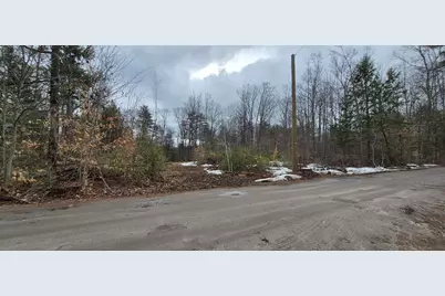 Poverty Plain Road #Map 7 Lot 100, Hillsboro, NH 03244 - Photo 1