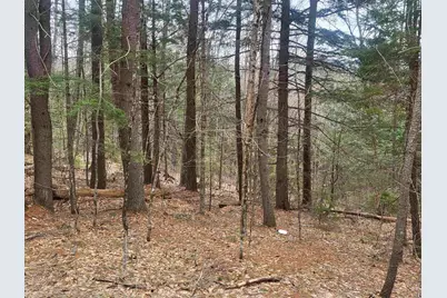 410-089-001 Eastern District Road, Danbury, NH 03230 - Photo 2