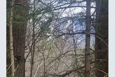 410-089-001 Eastern District Road, Danbury, NH 03230 - Photo 4