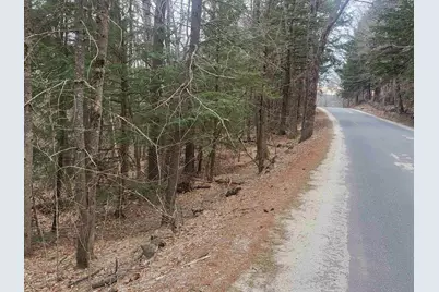 410-089-001 Eastern District Road, Danbury, NH 03230 - Photo 6