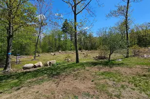 115 Moody Rd, Effingham, NH 03882 - Photo 36