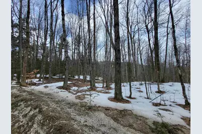 890 Washburn Road, Alexandria, NH 03222 - Photo 12