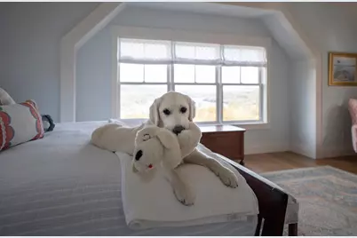 68 Ridge Road, Ashland, NH 03217 - Photo 28