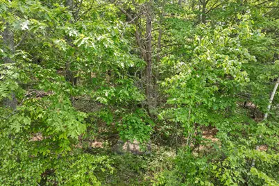 Franconia Drive #Map 210 Lot 90, New Durham, NH 03855 - Photo 14