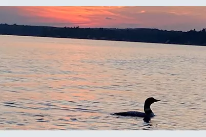 92 Cole Road, Northwood, NH 03261 - Photo 22