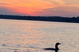 92 Cole Rd, Northwood, NH 03261 - Photo 22