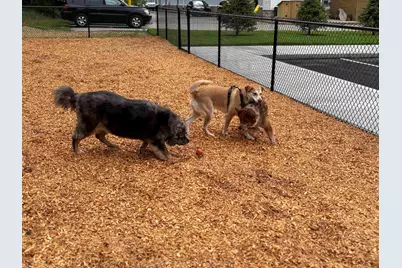 80 Constitution Avenue #321, Portsmouth, NH 03801 - Photo 30