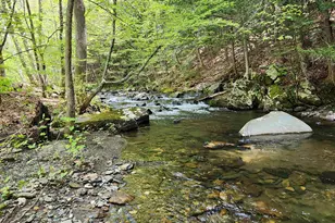 579 Town House Rd, Cornish, NH 03745 - Photo 34