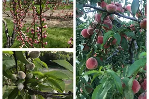 1260 E Madison Rd, Madison, NH 03849 - Photo 46