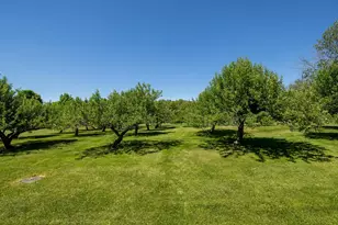 14 Bartlett Rd, Kensington, NH 03833 - Photo 38
