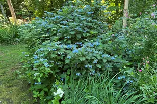 171 Crawley Falls Rd, Brentwood, NH 03833 - Photo 6