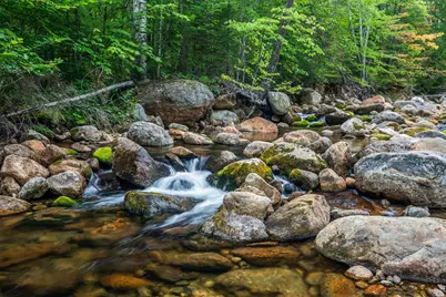 20 Meloon Road, Jackson, NH 03846 - Photo 4