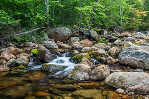 20 Meloon Rd, Jackson, NH 03846 - Photo 4