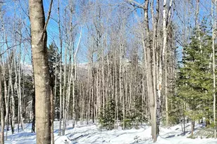 00 Tin Mine Rd, Jackson, NH 03846 - Photo 1