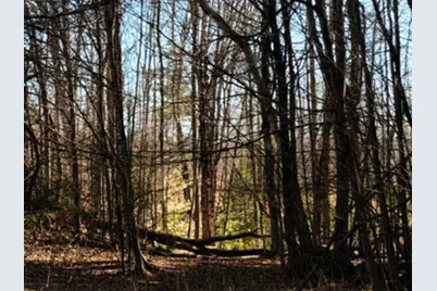 702 Province Road, Belmont, NH 03220 - Photo 12
