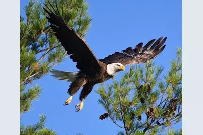 11 Emery Lane, Wakefield, NH 03830 - Photo 52