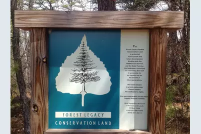 13 Mohegan Run Lane #79, Freedom, NH 03836 - Photo 48