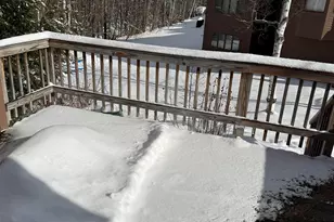 19 Bobcat Way, Waterville Valley, NH 03215 - Photo 50