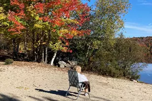 54 Brookridge Dr, Grantham, NH 03753 - Photo 42