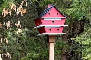 138 Spaulding Rd, Fremont, NH 03044 - Photo 44