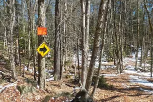 1550 Faxon Hill Rd, Washington, NH 03280 - Photo 1