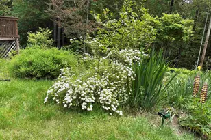 83 Jackson Dr, Washington, NH 03280 - Photo 6