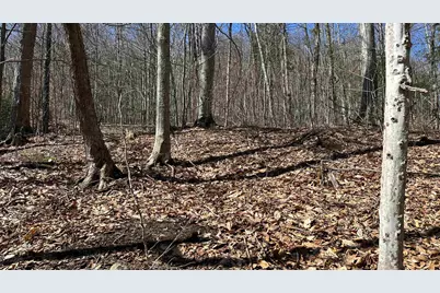 Valley Road, Washington, NH 03280 - Photo 18