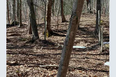 Valley Road, Washington, NH 03280 - Photo 12